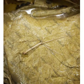 Salamura Yaprak 1 kg - 1