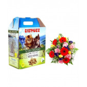 CatMozz Spring Doğal Organik Çam Peleti Kedi Kumu Bahar Kokulu 10 Lt - 1