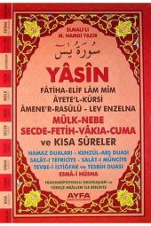 Yasin Gül Kapaklı Orta Boy - 1