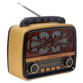 Nostaljik Radyo Mp3 Çalar Everton Rt-880 Bluetooth Usb/Sd/Aux/Fm - 1