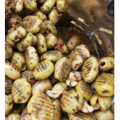 Sağlam Izgara Zeytin 250 gr - 1