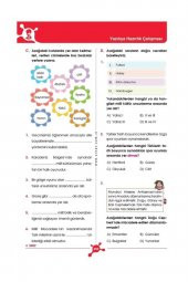 4. Sınıf Tüm Dersler Soru Bankası Sınav Yayınları - 6