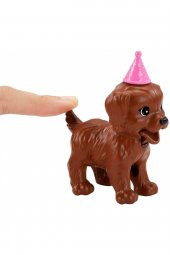 Barbie Bebek ve Köpek Partisi Oyun Seti GXV75 - 4