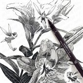 Uni-Ball Pin 200 Teknik Çizim Kalemi Siyah 9lu thumbnail 2