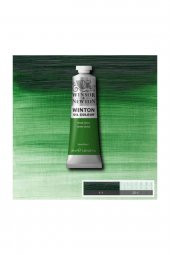 Winsor & Newton Winton Yağlı Boya 37 ml. 39 Terre Verte - 1