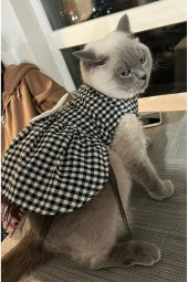 Beyaz Siyah Kareli Dişi Kedi Köpek Kıyafeti Elbisesi - 1