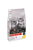 Pro Plan Tavuklu Kitten Yavru Kedi Maması 10 Kg - 1