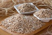 KAVUN ÇEKİRDEĞİ (KAVRULMUŞ)  (1 KG ) - 1