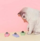 Ans Catnipli Yapışkanlı Yalama Topu - 7