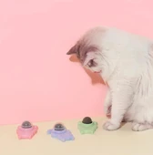 Ans Catnipli Yapışkanlı Yalama Topu thumbnail 7