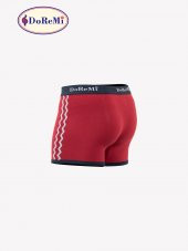 Erkek Boxer - 4