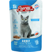 ENERGY SOMONLU YETİŞKİN ISLAK KEDİ MAMASI POUCH 85 GR - 1