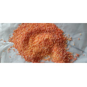 YAVAŞ SALINIMLI ÜRE--2 KG - 3