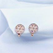 Rose Kar Tanesi Gümüş Küpe - 1