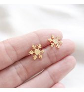 Kar Tanesi Model 925 Ayar Gümüş Kadın Küpe - 1