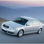 Skoda Superb 1 2002-2008 Fren Pedalı Lastiği Otomatik Vites 8D1723173B - 2