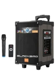 Hepu Hp-924 Taşınabilir Şarjlı 8 İnç 40W Bluetooth Hoparlör - 1