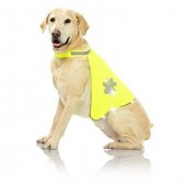 Pawise Refrektörlü Köpek Yeleği - M - 3