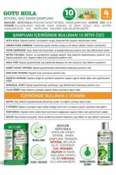 Biocure Dökülme Karşıtı ve Hızlı Uzama Etkili Bitkisel Saç Bakım Şampuanı 400 Ml. - 3
