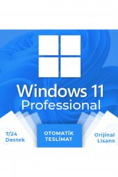 Windows 11 Professional Bireysel Dijital Lisans - 1