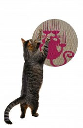 Glipet Desenli Çift Taraflı Kedi Tırmalama Paspası  Yuvarlak Pink 36*36 cm - 2