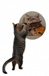 Glipet Desenli Çift Taraflı Kedi Tırmalama Paspası  Yuvarlak Three Cat 36*36 cm - 1