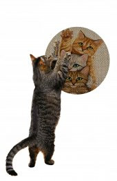 Glipet Desenli Çift Taraflı Kedi Tırmalama Paspası  Yuvarlak Yellow 36*36 cm - 2