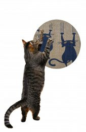 Glipet Desenli Çift Taraflı Kedi Tırmalama Paspası  Yuvarlak Twoblue 36*36 cm - 2