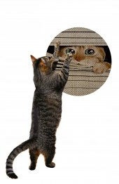 Glipet Desenli Çift Taraflı Kedi Tırmalama Paspası  Yuvarlak Watch 36*36 cm - 1