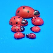 gik uğur böceği yapışkanlı küçük boy - 1