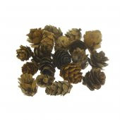 Doğal Kozalak 2-3cm 75gr. (50-55 Adet) - 1