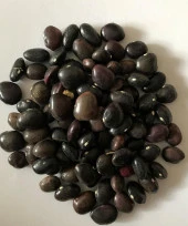 Yerli Ata Tohumu Sırık Uzun-Enli Turşuluk Fasulye 25 Gr (Mor) thumbnail 1