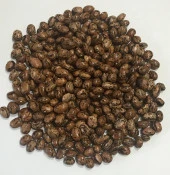 Yerli Ata Tohumu Sırık Uzun-Enli Erken Turşuluk Fasulye 25 Gr (Alacalı) thumbnail 1