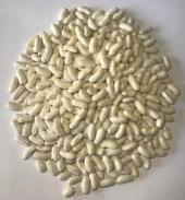 Yerli Ata Tohumu Oturak Horoz Fasulyesi 25 Gr - 1