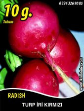 Turp Tohumu Toros Kırmızısı - 10 G (~ Takribi 600 Tohum) - 1