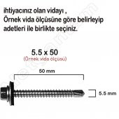 Trapez Vida Çatı Vidası Pullu Vida 5.5X38 _ 100 Adet - 2