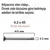 Matkap Uçlu Vida Akıllı Apex Vidası  3.9x19 - 100 Adet - 2
