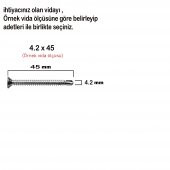 Matkap Uçlu Vida Akıllı Apex Vidası 3.9x13 - 100 Adet - 2