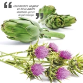 Dinamis Standardized Extract Artichoke Milk Thistle 60 Kapsül - 2
