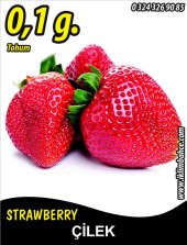 Çilek Tohumu Vista ~ 0,035 G. (~ Takribi 200 Tohum) - 1