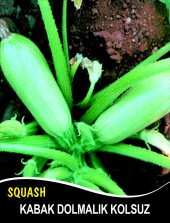 Kabak Tohumu Sakız Beyaz Dolmalık - 10G (~ Takribi 35 Tohum) - 1