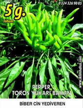 Biber Tohumu Toros Yukarı Bakan Yeşil Süs - 5 g (~ Takribi 400 Tohum) - 1