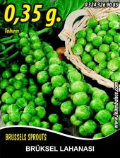 Brüksel Lahanası Tohumu 0,35 G. (~ Takribi 85 Tohum) - 1