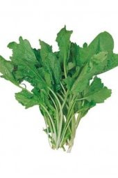 Tere Tohumu 10 Gr - 1