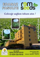 Fasulye Tohumu Edanaz ( Oturak ) - 50 G  (~ Takribi 150 Tohum) - 1