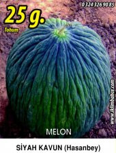 Kavun Tohumu Hasan Bey 1 - 25g (~ Takribi 350 Tohum) - 1