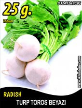 Turp Tohumu Toros Beyazı - 25 g. (~ Takribi 1500 Tohum) - 1
