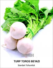 Turp Tohumu Toros Beyazı - 25 g. (~ Takribi 1500 Tohum) - 3