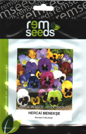 Hercai Menekşe Çiçek Tohumu 1 - Vıola Trıcolor (~ Takribi 40 Tohum) - 1