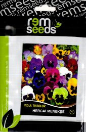 Hercai Menekşe Çiçek Tohumu 1 - Vıola Trıcolor (~ Takribi 40 Tohum) - 2